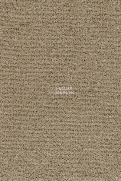 Ковролин AW Masquerade Mezza 37 фото 1 | FLOORDEALER